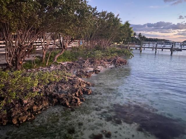 Bahia Bay Resort Ки Ларго Экстерьер фото